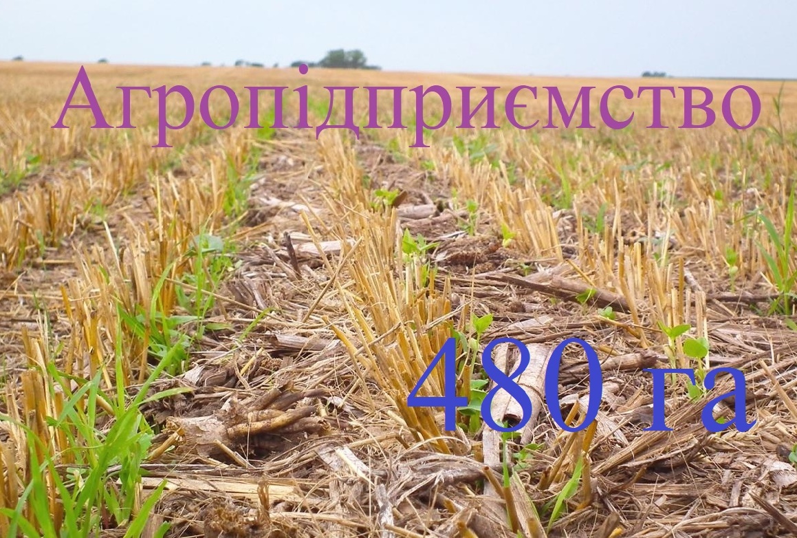 Продажа агропредприятия 480 га